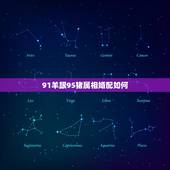 91羊跟95猪属相婚配如何，91羊女和95年猪男合得来么