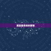 属鼠最忌讳的属相，属鼠的人最怕什么属相