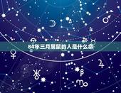 84年三月属鼠的人是什么命，十月的属鼠的人命好吗