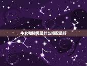 牛女和猪男是什么婚配最好，1995年猪男和1997年牛女婚配是好还是坏
