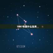 1997年属什么生肖，97年属于什么生肖