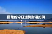 属兔的今日运势财运如何，属兔今天财运怎样
