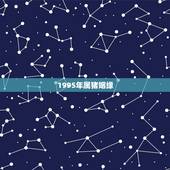 1995年属猪姻缘，1995年女属猪人与1996年男农历运气和婚姻怎样