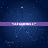 今年下半年什么属相最好，什么属相今年运势最好？