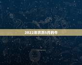 2022年农历5月的牛，85年属牛人最穷不过36岁