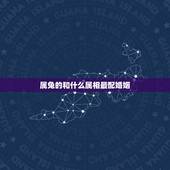属兔的和什么属相最配婚姻，属马的和什么属相最配