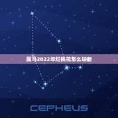 属马2022年烂桃花怎么斩断，生肖兔2022年烂桃花