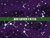 属鼠38岁后有十年大运，84属鼠人未来十年运势