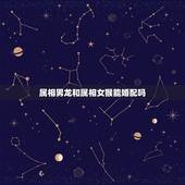 属相男龙和属相女猴能婚配吗，女猴和男龙生肖相配吗