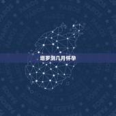 塔罗测几月怀孕，塔罗牌占卜能精确到几几年几月几日吗？