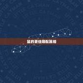 鼠的更佳婚配属相，生肖鼠更佳婚配对象