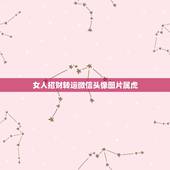 女人招财转运微信头像图片属虎，属虎适合什么微信头像