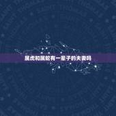 属虎和属蛇有一辈子的夫妻吗，属虎和属蛇的兄弟好不好