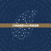 75年的兔在2022年的运势，属兔人2022 年12月运势