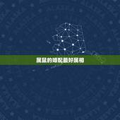 属鼠的婚配最好属相，1996年属鼠与什么属相相配
