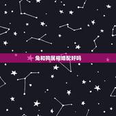 兔和狗属相婚配好吗，属狗的和属兔的相配吗？