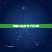 牛年属鼠运势2021年运势，属鼠2021年运势及运程女性