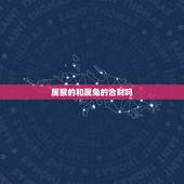 属猴的和属兔的合财吗，2022 年属猴与属兔合作好吗