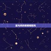 鼠与鸡的婚姻相配吗，属鸡和属鼠相克吗