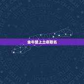 金牛壁上土命取名，牛年取名王俊翔五行怎么样