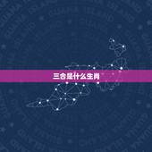 三合是什么生肖，鸡的三合生肖是什么