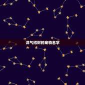 洋气招财的宠物名字，洋气又招财的小狗名字有哪些？