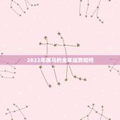 2022年属马的全年运势如何，男1966年五月初七午时马2022年运气