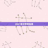 2021年分手的生肖，2021年遭另一半背叛的生肖