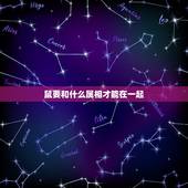 鼠要和什么属相才能在一起，属鼠人和什么属相合作最好