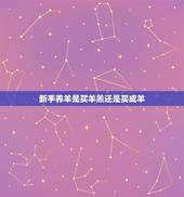 新手养羊是买羊羔还是买成羊，羊大便成坨型怎么回事
