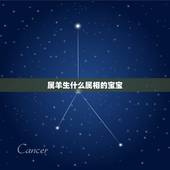 属羊生什么属相的宝宝，女属羊男属虎生个什么属相的孩子最好