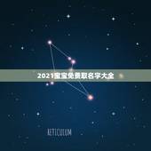 2021宝宝免费取名字大全，2021牛年男宝宝最佳取名