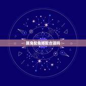 属兔配兔婚配合适吗，属相婚配：男属兔和女属鼠相配吗