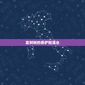 发财树的养护和浇水，发财树的养殖方法多久浇水