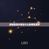 属猴属兔夫妻生什么属相宝宝好，属牛的和属兔得生个什么属相的好