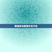 属相虎与属相牛合不合，属牛和属虎的合不合