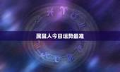 属鼠人今日运势最准，属鼠今日运势每日运程