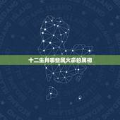 十二生肖哪些属火命的属相，十二生肖号码金木水火土各是哪个