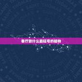 客厅放什么最旺宅的植物，客厅风水植物摆放有哪些禁忌
