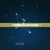 九尾狐佛牌是正牌还是阴牌，泰国佛牌九尾狐仙是正牌还是阴牌