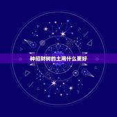 种招财树的土用什么更好，树！ 发财树用什么泥土种好
