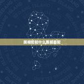 属相蛇和什么属相最配，蛇跟什么生肖配对更好