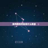 属鸡的桃花劫是什么属相，属猪的和什么属相最配