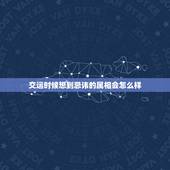 交运时候想到忌讳的属相会怎么样，交运对忌讳的属相，见该属相的人，或者与