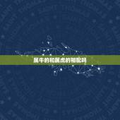 属牛的和属虎的相配吗，属牛和属虎的婚配如何