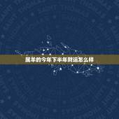 属羊的今年下半年财运怎么样，2022 羊女每月运势
