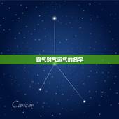 霸气财气运气的名字，那些字代表财运霸气