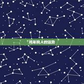 鸡年狗人的运势，属狗的人今年运气