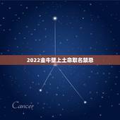 2022金牛壁上土命取名禁忌，2022 壁上土命取名要点