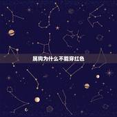 属狗为什么不能穿红色，本命年为什么要穿红色